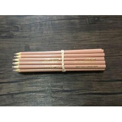 (20) Crayola Colors of the world Colored Pencils  (medium almond) BULK