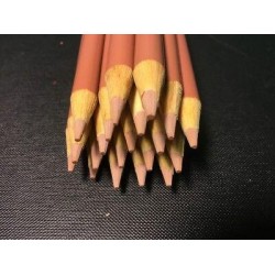 (20) Crayola Colored Pencils  (copper) BULK