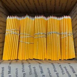 (300) Crayola Colored Pencils  (light orange) BULK