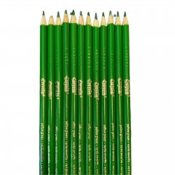New Crayola Colored Pencils 12 Count Yellow Green