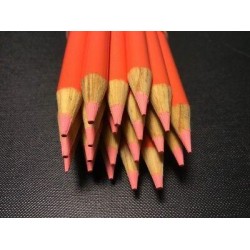 (20) Crayola Colored Pencils  (salmon) BULK