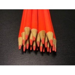 (20) Crayola Colored Pencils  (sizzling sunset) BULK