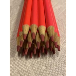 (20) Crayola Colored Pencils  (winter sky) BULK