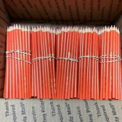 (300) Crayola Colored Pencils  (salmon) BULK