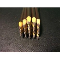 (20) Crayola Colored Pencils  (beaver) BULK