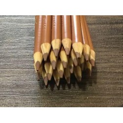 (20) Crayola Colors of the world Colored Pencils  (medium deep almond) BULK