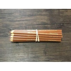 (20) Crayola Colors of the world Colored Pencils  (medium deep almond) BULK