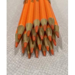 (20) Crayola Colored Pencils  (heat wave) BULK
