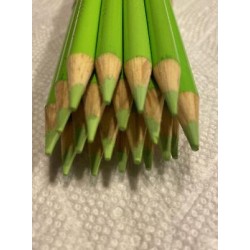 (20) Crayola Colored Pencils  (palm leaf) BULK