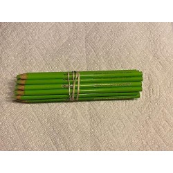 (60) Crayola Colored Pencils  (palm leaf) BULK
