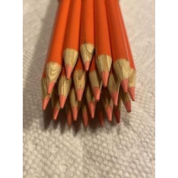 (20) Crayola Colored Pencils  (coral reef) BULK