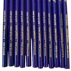 New Crayola Colored Pencils 12 Count PURPLE
