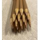 (20) Crayola Colored Pencils  (khaki) BULK