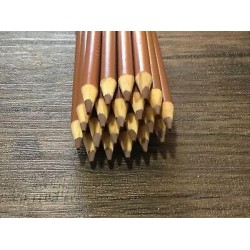 (20) Crayola Colors of the world Colored Pencils  (deep almond) BULK