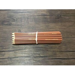 (20) Crayola Colors of the world Colored Pencils  (deep almond) BULK