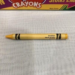 Crayola 2004 96ct Crayons with Built-in Sharpener - New - Includes Dandelion