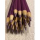 (20) Crayola Colored Pencils  (orchid) BULK