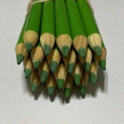 (20) Crayola Colored Pencils  (yellow green) BULK