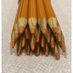 (20) Crayola Colored Pencils  (mango) BULK